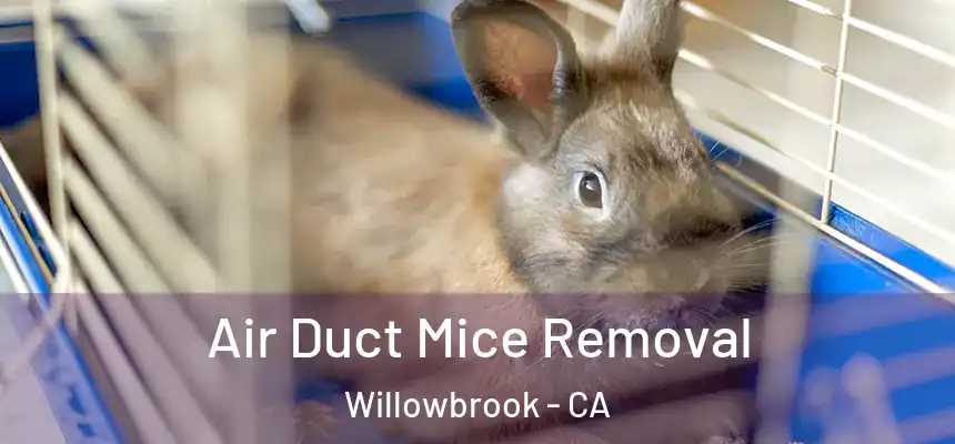 Air Duct Mice Removal Willowbrook - CA