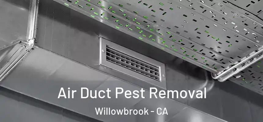  Air Duct Pest Removal Willowbrook - CA