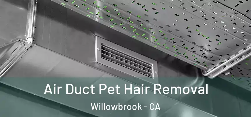  Air Duct Pet Hair Removal Willowbrook - CA