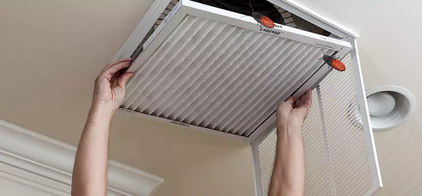Preventive Cockroach-Proofing for Ducts in Willowbrook