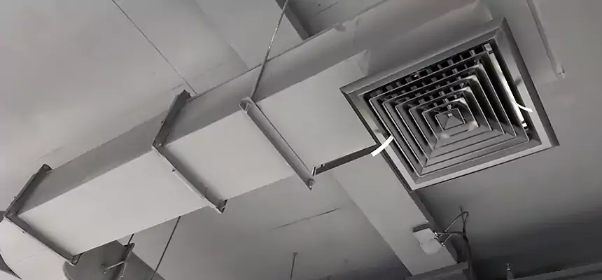 Restorative Allergy Relief Vent Cleaning – Coil, Blower & Housing Detail in Willowbrook