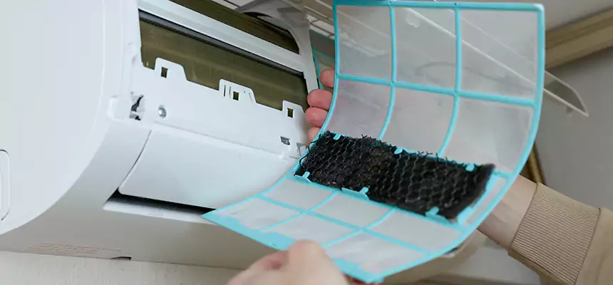 Gentle Ductwork Odor-Control Pet Dander Duct Cleaning in Willowbrook, CA