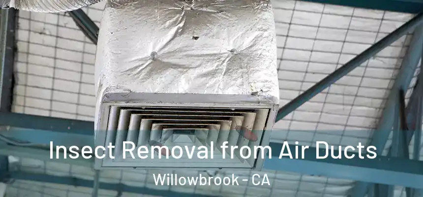 Insect Removal from Air Ducts Willowbrook - CA