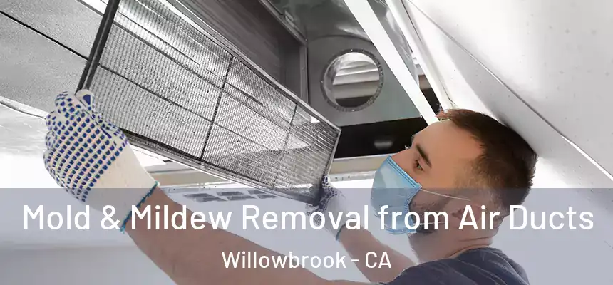  Mold & Mildew Removal from Air Ducts Willowbrook - CA