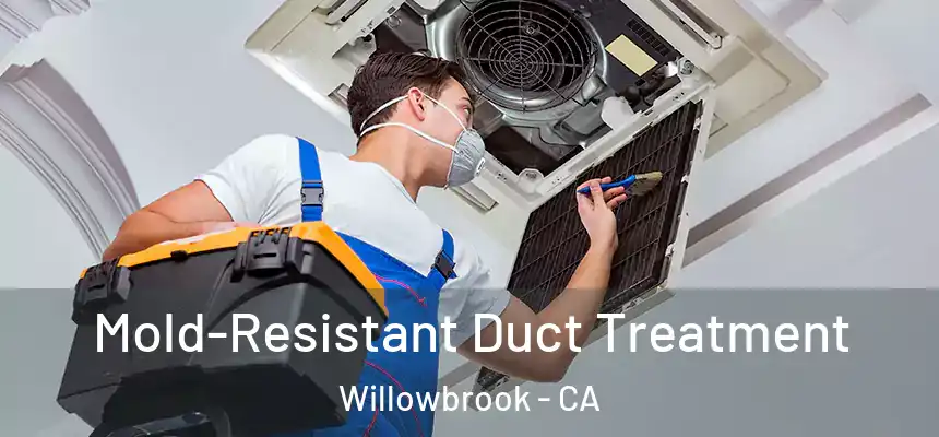 Mold-Resistant Duct Treatment Willowbrook - CA