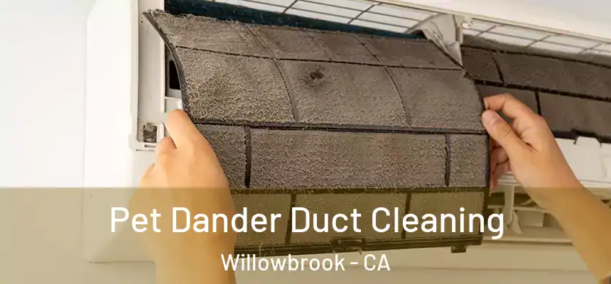  Pet Dander Duct Cleaning Willowbrook - CA