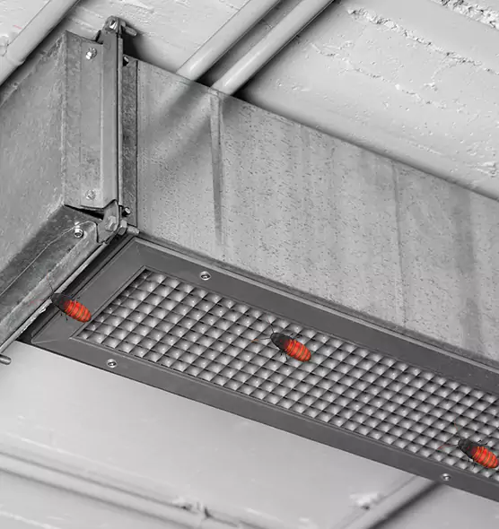 About Air Duct Cockroach Removal in Willowbrook, CA