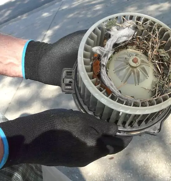 About Air Duct Rat Removal in Willowbrook, CA