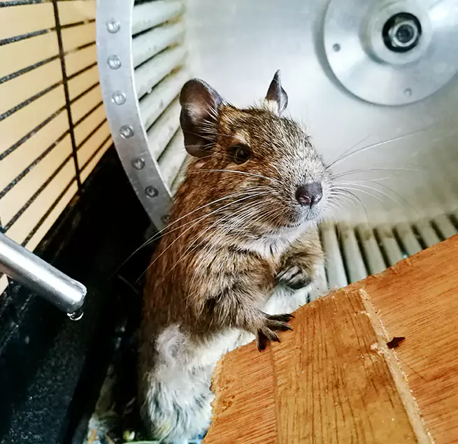 Why Homeowners & Businesses Trust Us Willowbrook, CA?