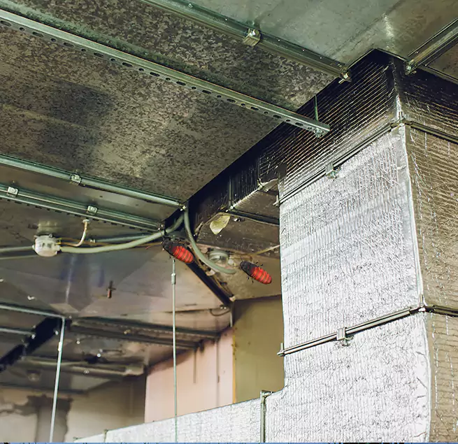 Why Homeowners & Businesses Trust Us Willowbrook, CA?