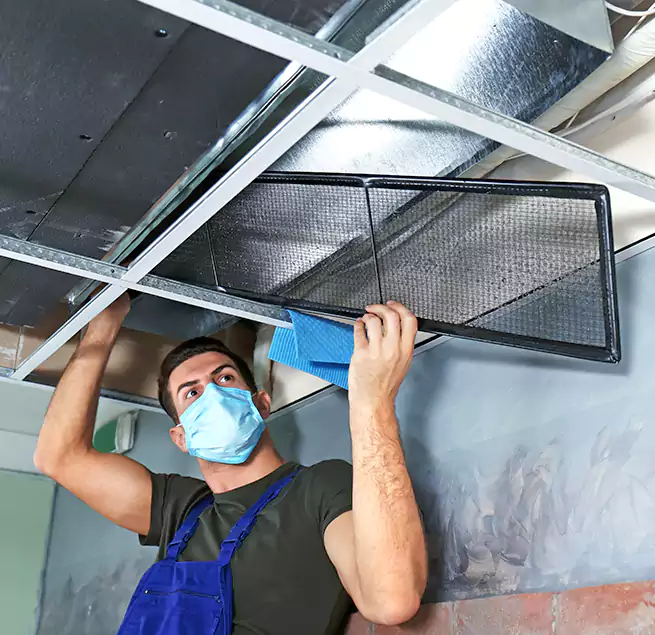 Why Homeowners Businesses Trust Us in Willowbrook, CA