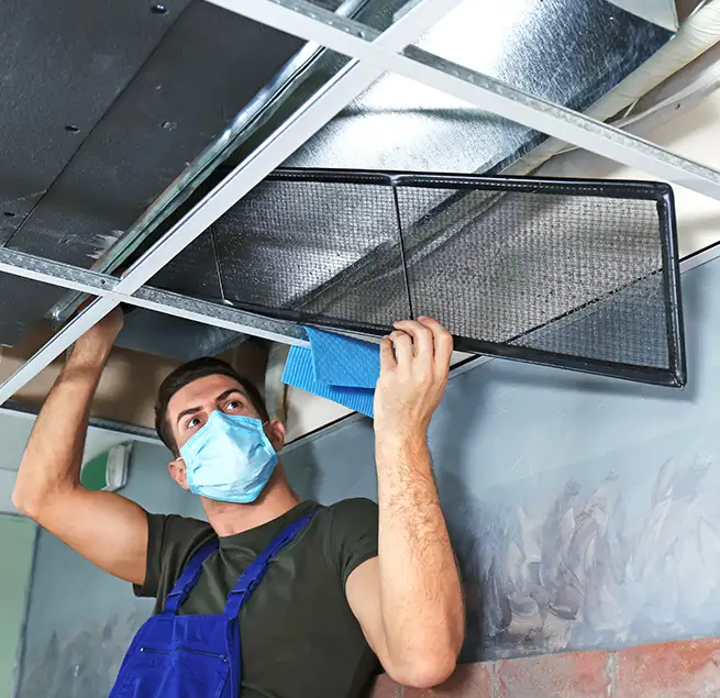 Why Homeowners & Businesses Trust Us in Willowbrook, CA?